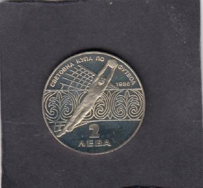 Beschrijving: 2 Leva  SOCCER